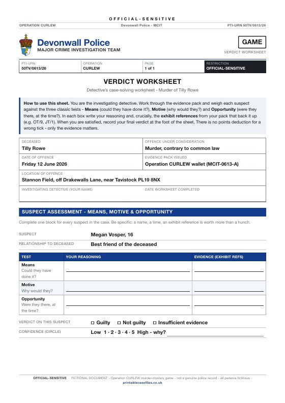 First page of Verdict worksheet